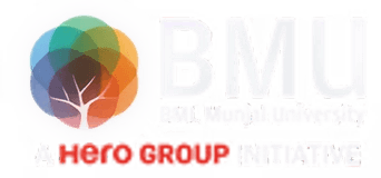 BMU Logo