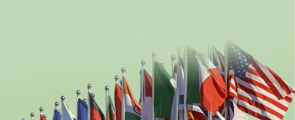 Faculty with International Experience